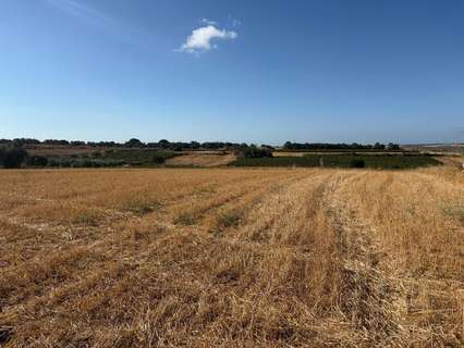 Parcela rústica en venta en Bollullos Par del Condado