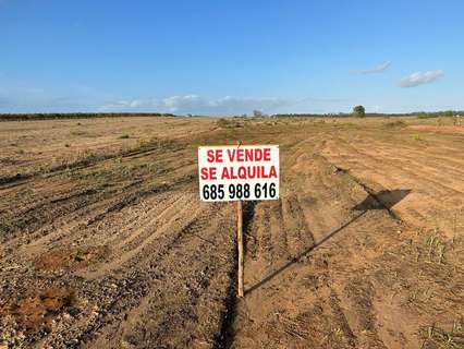 Parcela rústica en venta en Almonte