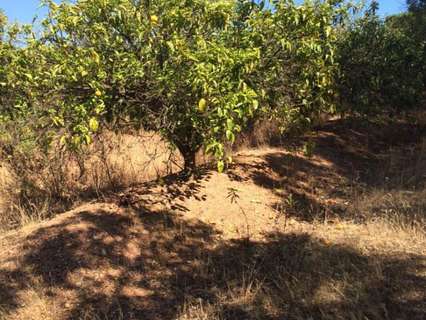 Casa rústica en venta en Bonares