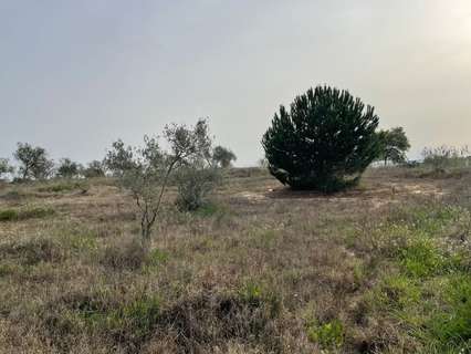 Casa rústica en venta en La Palma del Condado