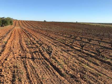 Casa rústica en venta en Almonte