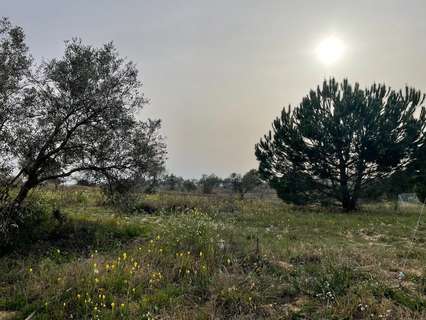 Casa rústica en venta en La Palma del Condado