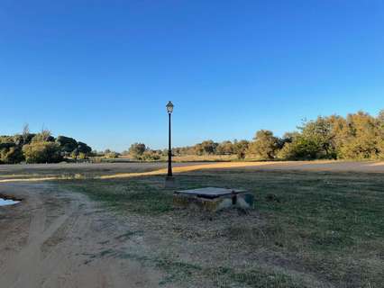 Parcela rústica en venta en Almonte