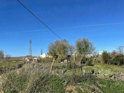 Parcela rústica en venta en La Palma del Condado