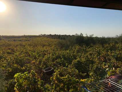 Casa rústica en venta en Villalba del Alcor