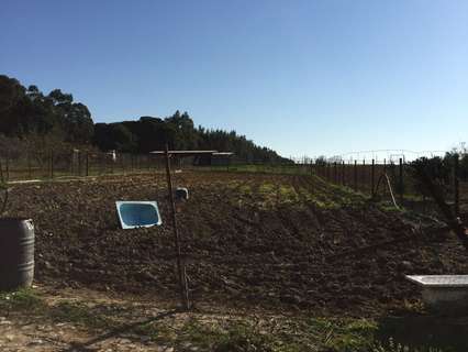 Casa rústica en venta en Villarrasa