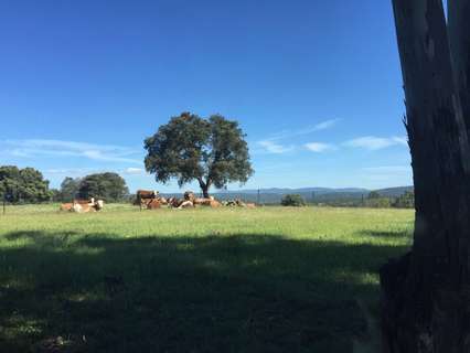 Casa rústica en venta en Sevilla