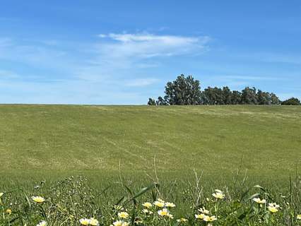 Casa rústica en venta en La Palma del Condado