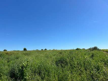 Casa rústica en venta en Bollullos Par del Condado