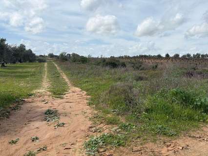 Casa rústica en alquiler en Bollullos Par del Condado