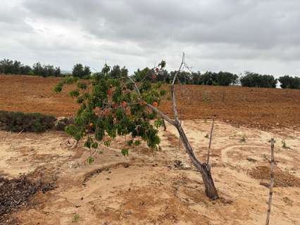 Casa rústica en venta en Bollullos Par del Condado