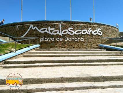 Local comercial en venta en Almonte zona Matalascañas