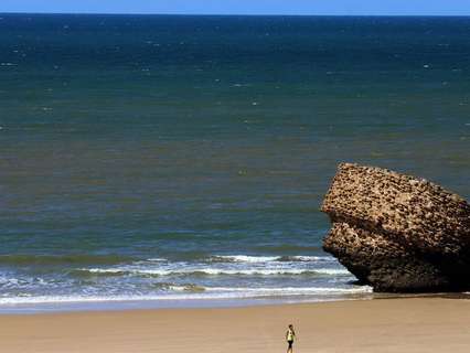 Local comercial en venta en Almonte zona Matalascañas