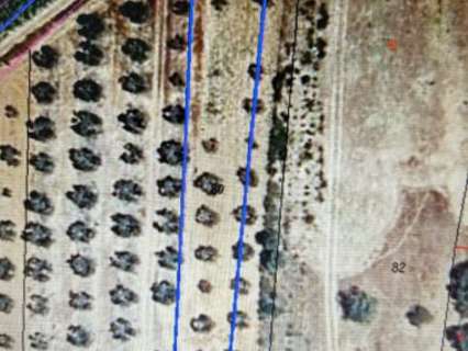 Casa rústica en alquiler en Bollullos Par del Condado