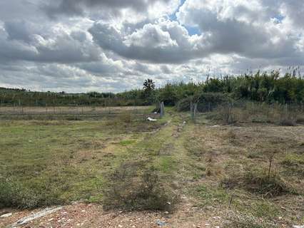 Parcela rústica en venta en Bollullos Par del Condado