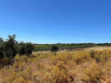 Parcela rústica en venta en Bollullos Par del Condado