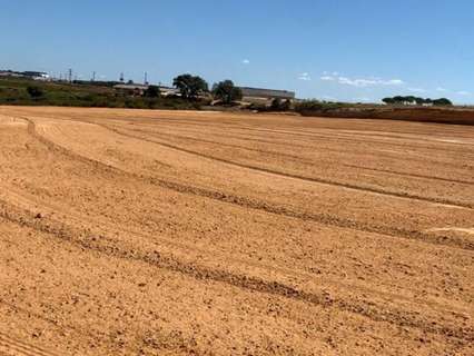 Parcela rústica en venta en Bollullos Par del Condado