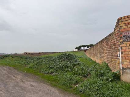 Parcela rústica en venta en Bollullos Par del Condado