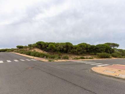 Parcela rústica en venta en Palos de la Frontera zona Mazagón