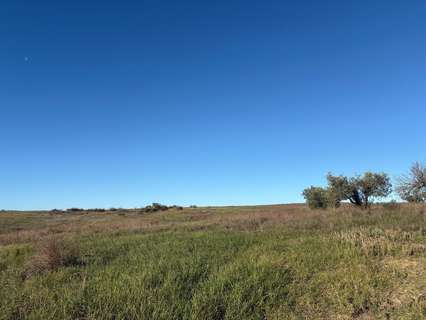 Casa rústica en venta en Almonte