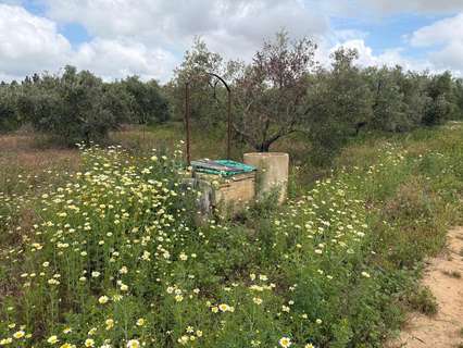 Casa rústica en venta en Bollullos Par del Condado