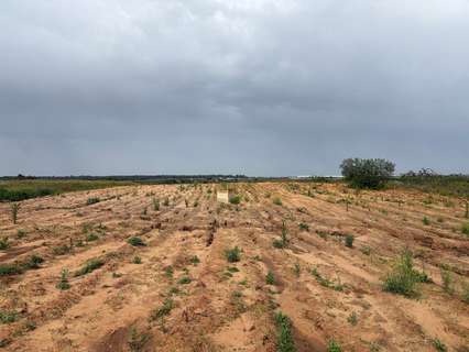 Parcela rústica en venta en Bollullos Par del Condado