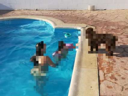 Casa rústica en venta en Bollullos Par del Condado