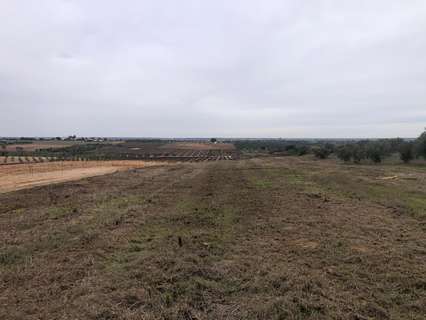 Parcela rústica en venta en Bollullos Par del Condado