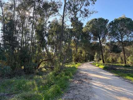 Parcela rústica en venta en Rociana del Condado