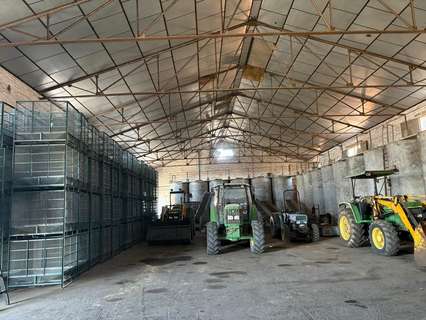 Nave industrial en alquiler en Bollullos Par del Condado