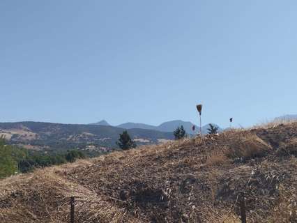 Parcela rústica en venta en Prado del Rey