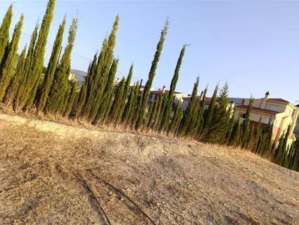 Parcela rústica en venta en Los Villares