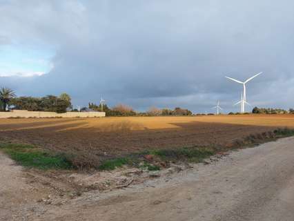 Parcela rústica en venta en Chiclana de la Frontera