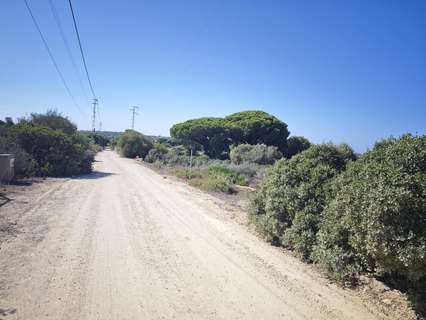 Parcela rústica en venta en Chiclana de la Frontera