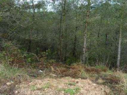 Parcela rústica en venta en El Montmell