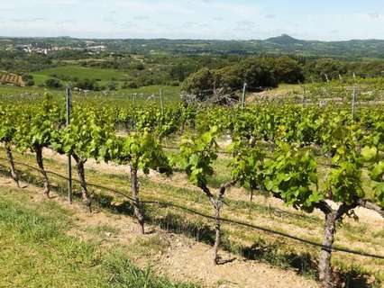 Parcela rústica en venta en Manilva zona San Luis de Sabinillas