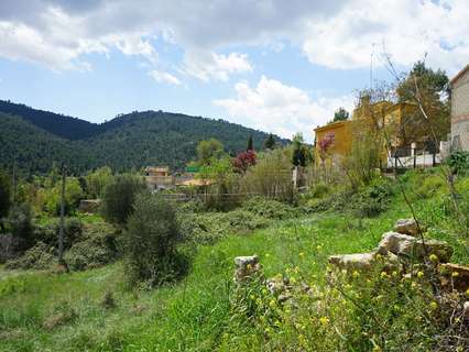 Parcela rústica en venta en Requena