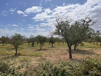 Parcela rústica en venta en Porreres