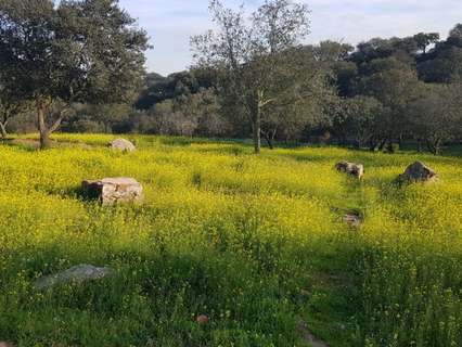 Parcela rústica en venta en Badajoz
