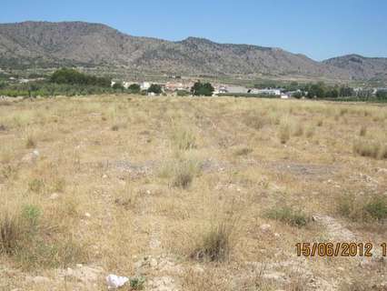 Parcela rústica en venta en Salinas