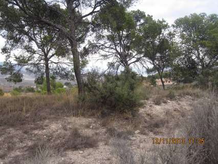 Parcela rústica en venta en Monóvar/Monòver