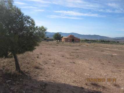 Parcela rústica en venta en Novelda