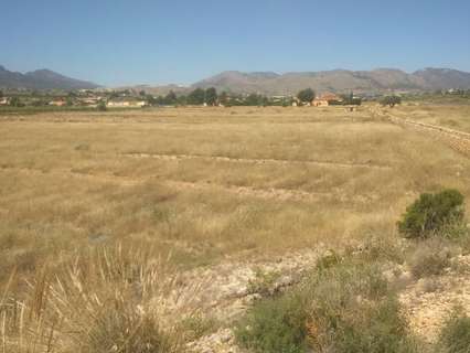 Parcela rústica en venta en Novelda