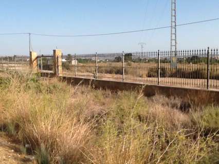 Parcela rústica en venta en Novelda