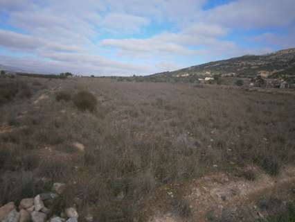 Parcela rústica en venta en El Pinós/Pinoso
