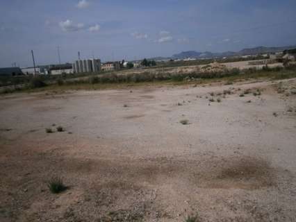Parcela industrial en venta en Monforte del Cid
