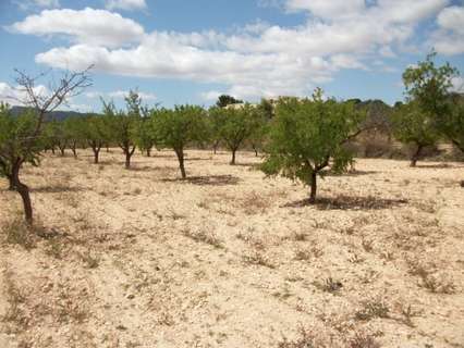 Parcela rústica en venta en Monóvar/Monòver