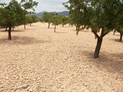 Parcela rústica en venta en Monóvar/Monòver