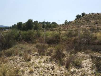 Parcela rústica en venta en Monóvar/Monòver