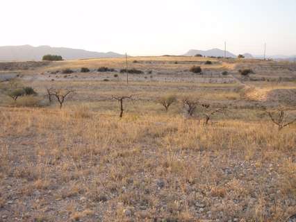 Parcela rústica en venta en Monóvar/Monòver